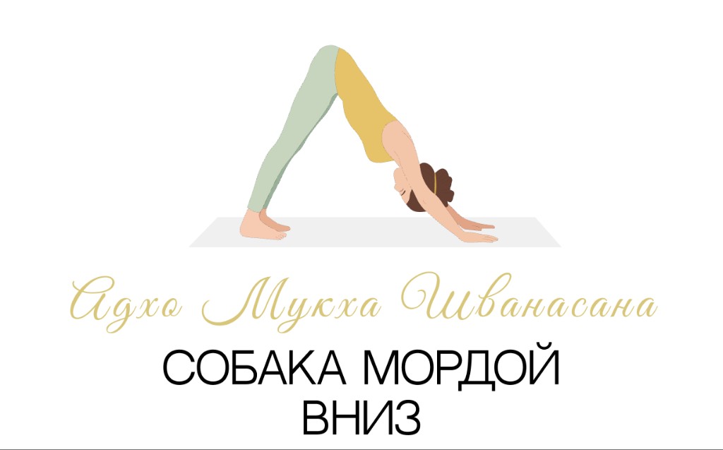 Адхо Мукха Шванасана (собака мордой вниз)