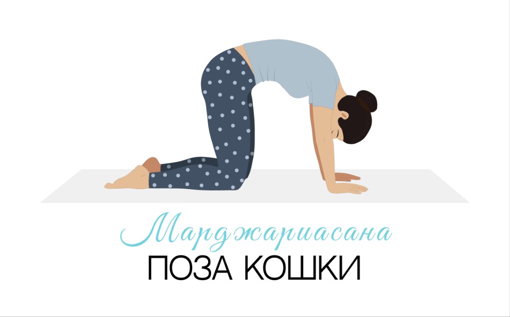 Марджариасана (поза кошки)