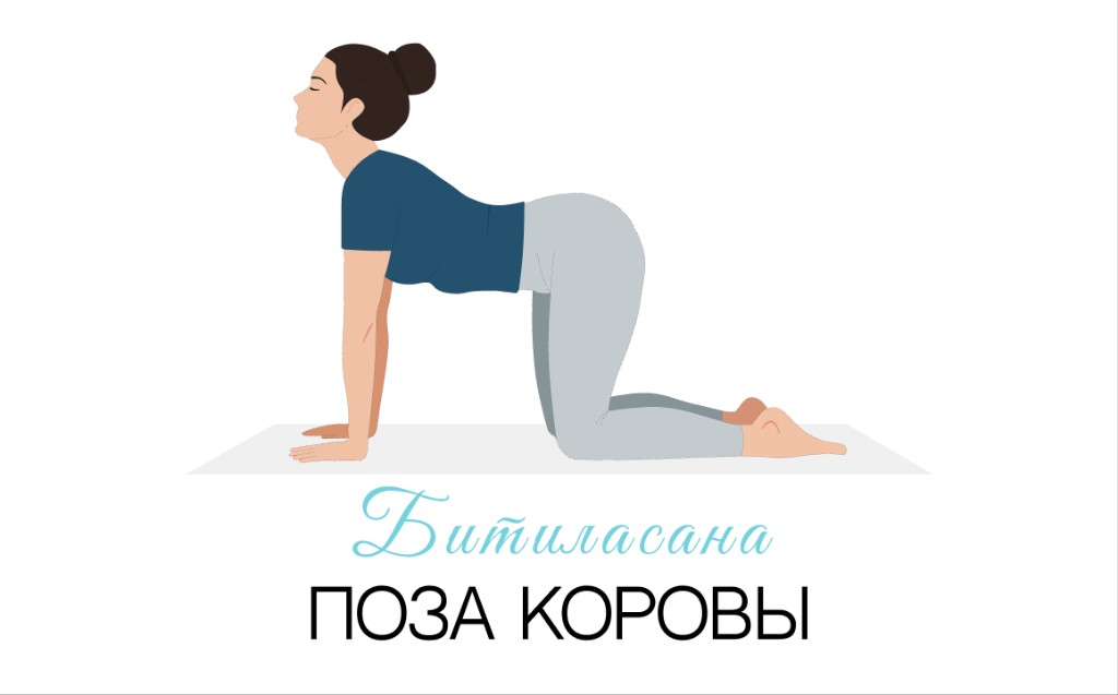 Битиласана (поза коровы)