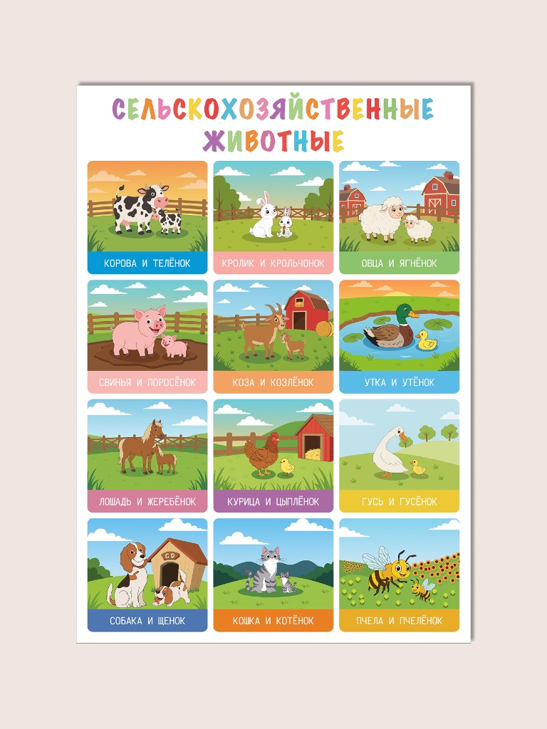 Плакат «Сельскохозяйственные животные» для детей